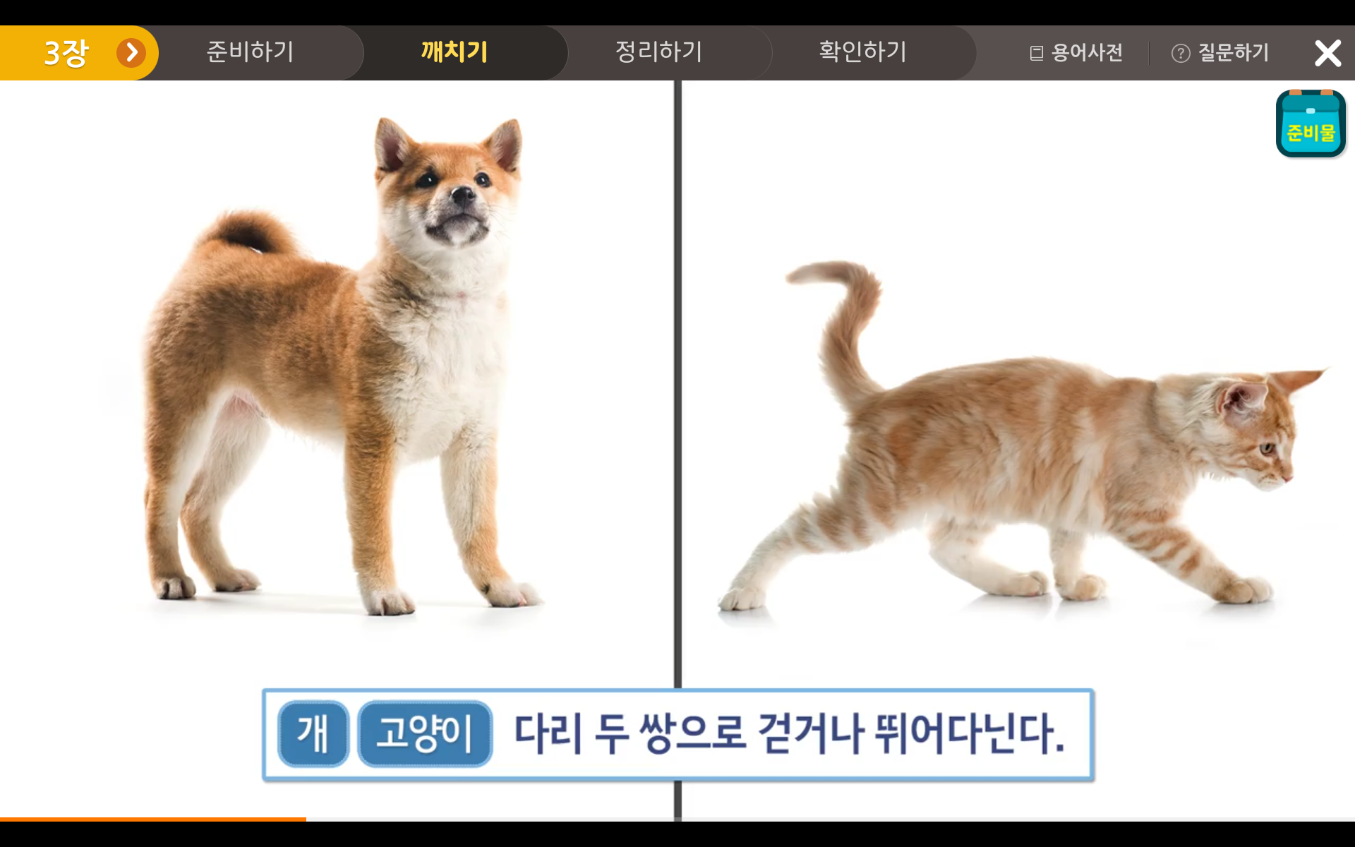 동물의 생활 | 3학년 2학기 과학 1단원 | 홈런 초등