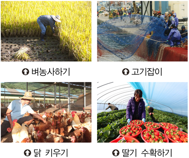 야외, 식물, 의류, 포유류이(가) 표시된 사진자동 생성된 설명