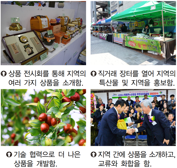 텍스트, 과일, 스크린샷, 자연 식품이(가) 표시된 사진자동 생성된 설명