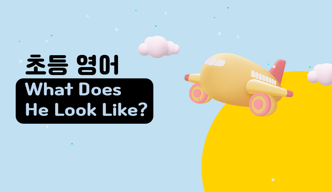 What Does He Look Like? | 초등 5학년 2학기 영어 | 홈런초등