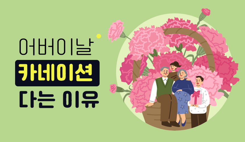 어버이날, 카네이션을 다는 이유 | 홈런