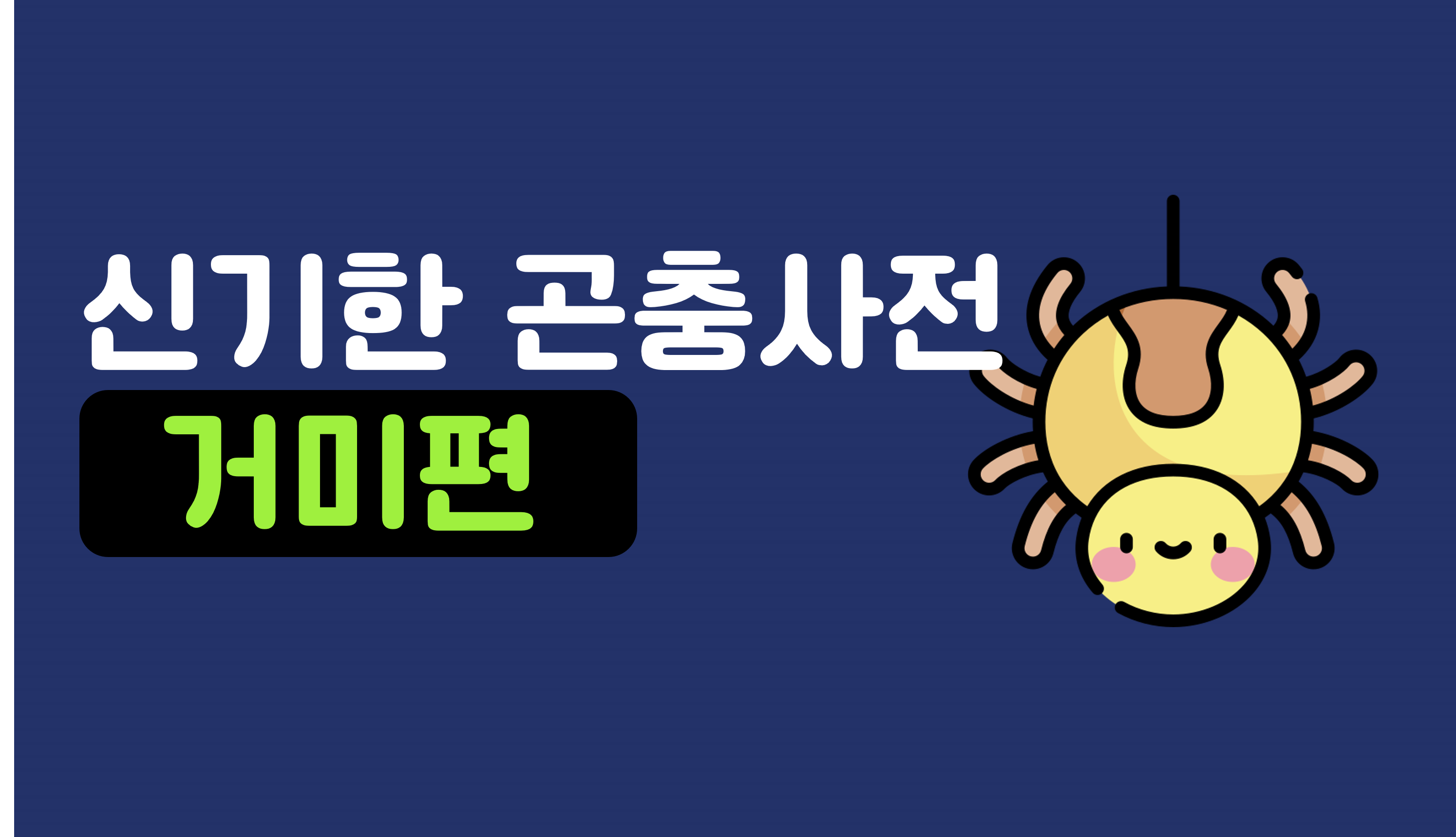 신기한 곤충 세상 | 거미 | 아이스크림 홈런