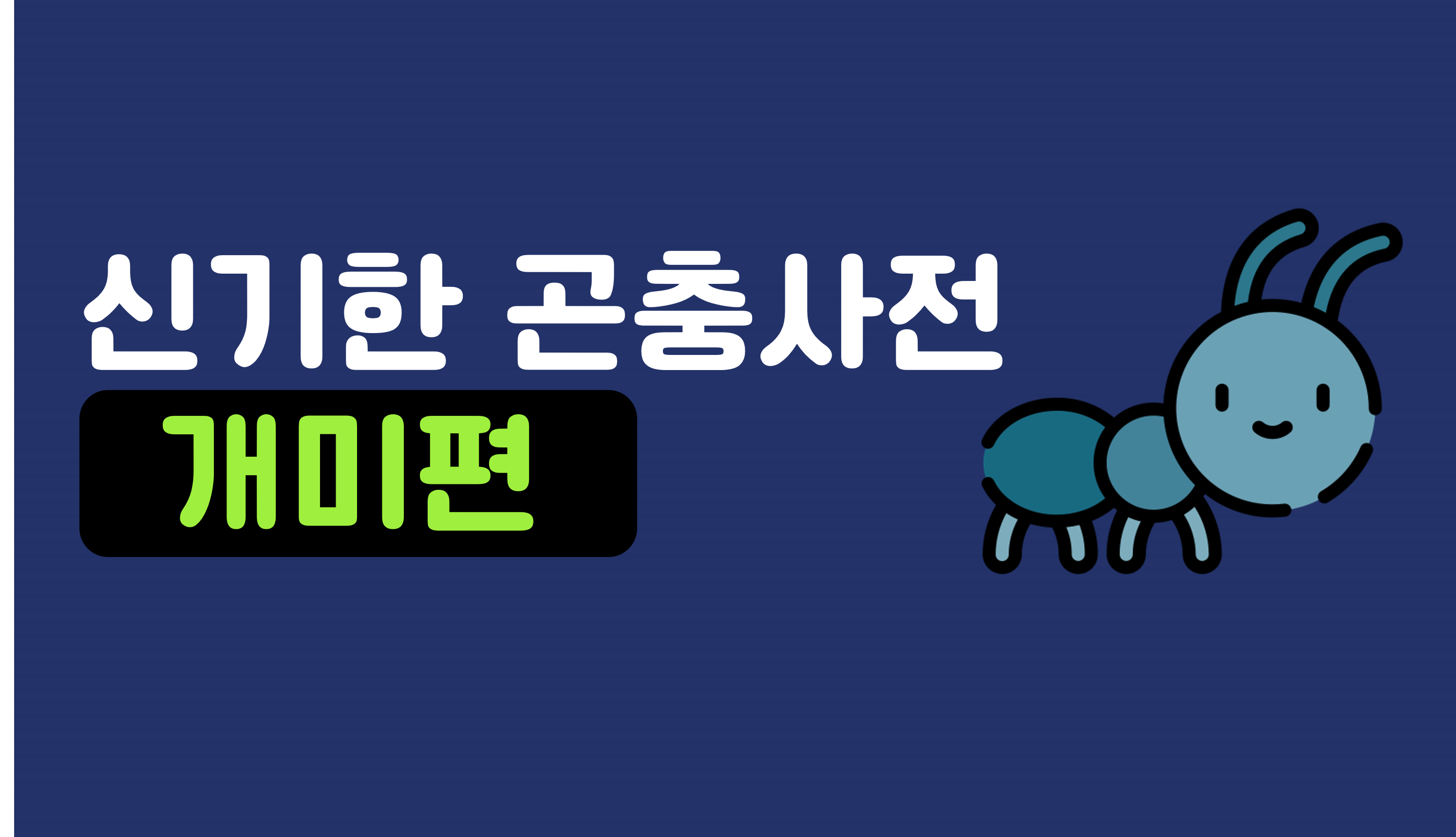 신기한 곤충 세상 | 개미 | 아이스크림 홈런