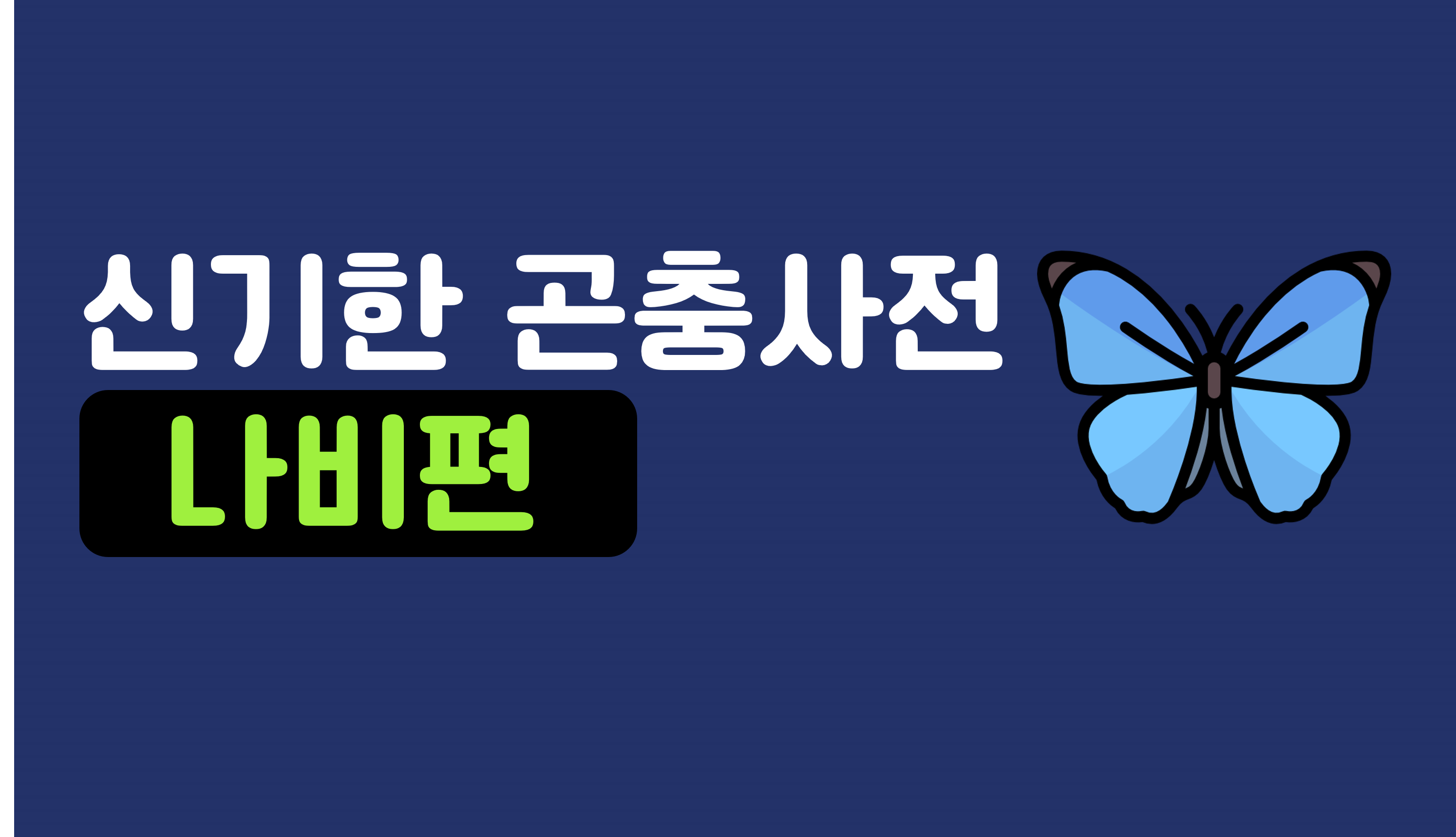 신기한 곤충 세상 | 나비 | 아이스크림 홈런
