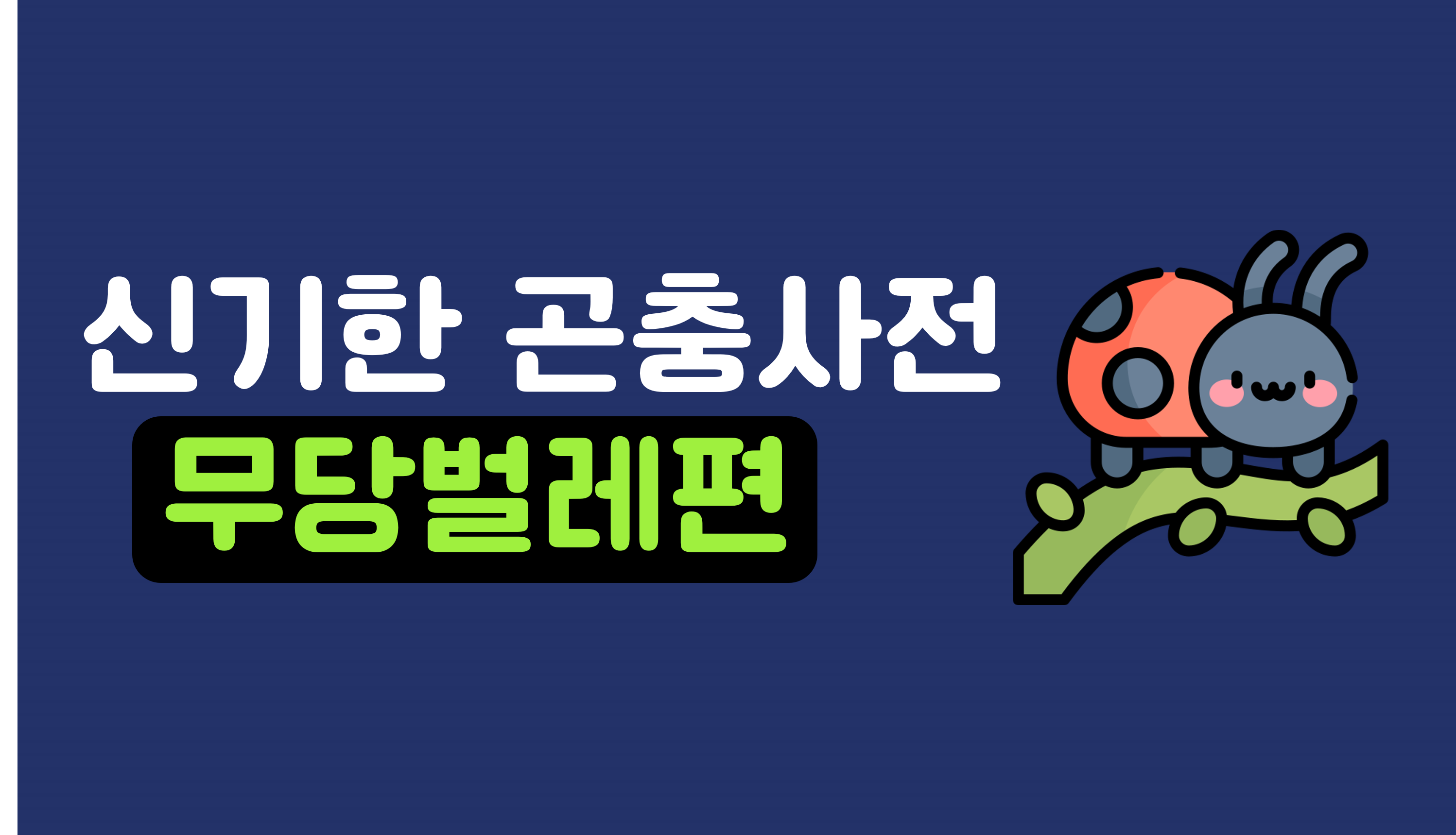 신기한 곤충 세상 | 무당벌레 | 아이스크림 홈런