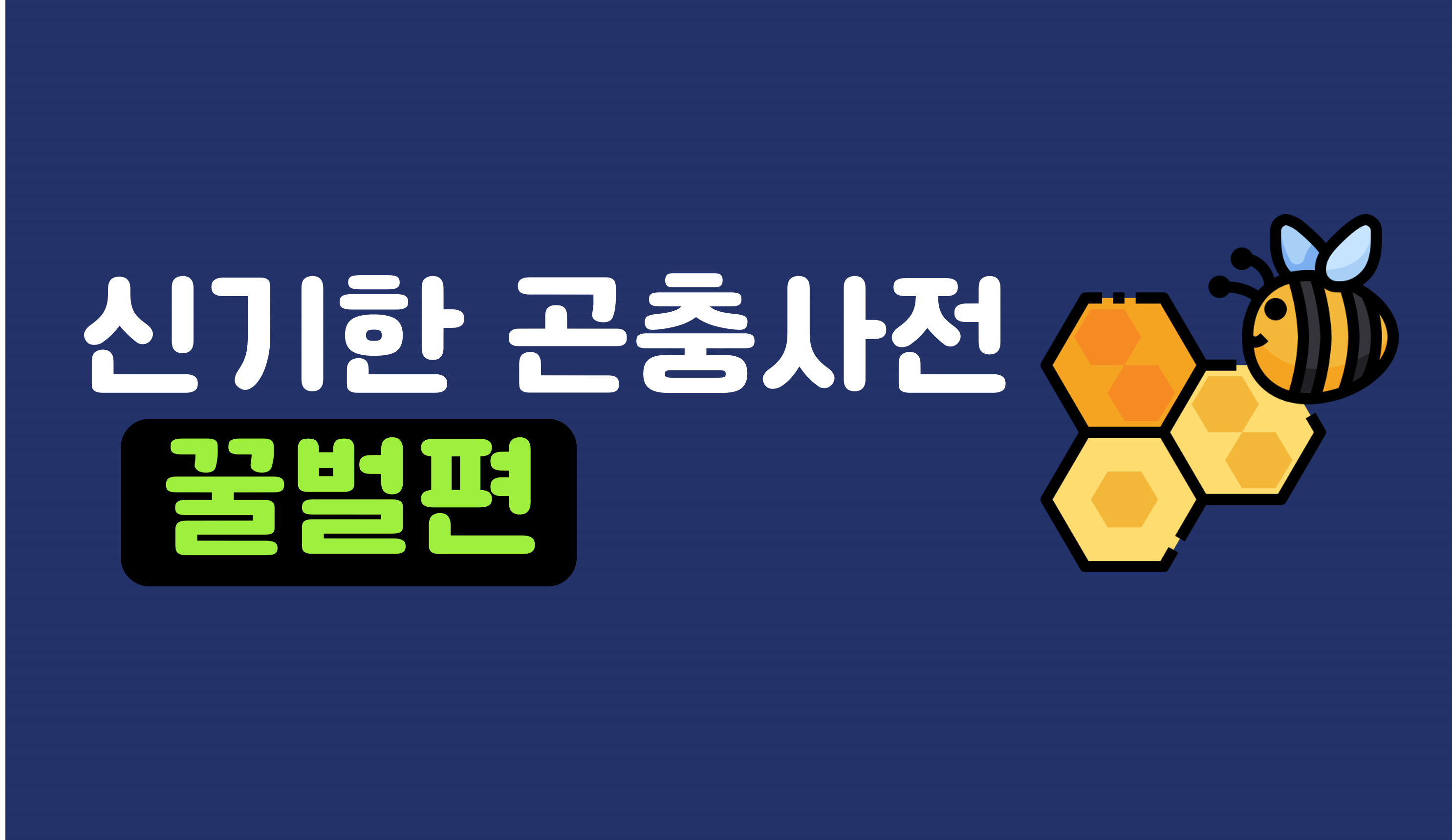 신기한 곤충 세상 | 꿀벌 | 아이스크림 홈런