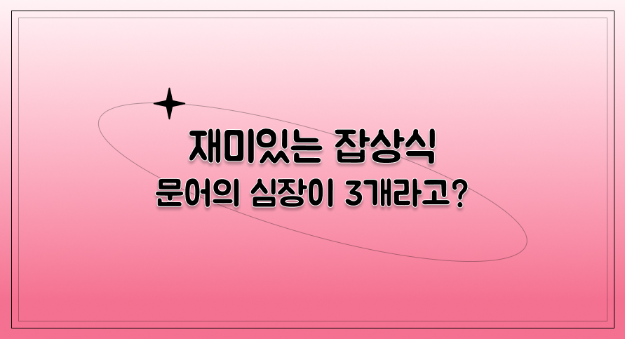 재미있는 잡상식 | 문어의 심장이 3개라고? | 아이스크림 홈런
