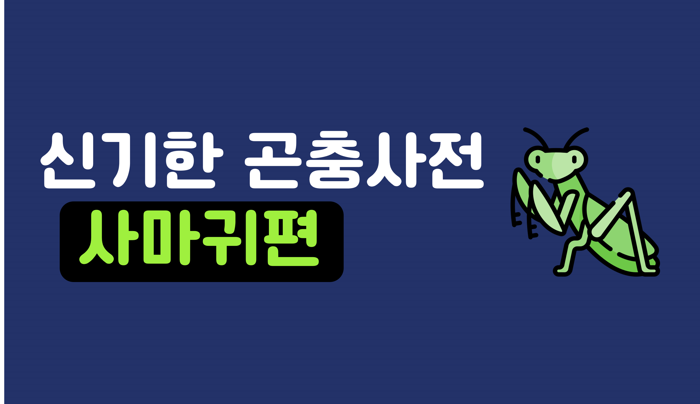 신기한 곤충 세상 | 사마귀 | 아이스크림 홈런