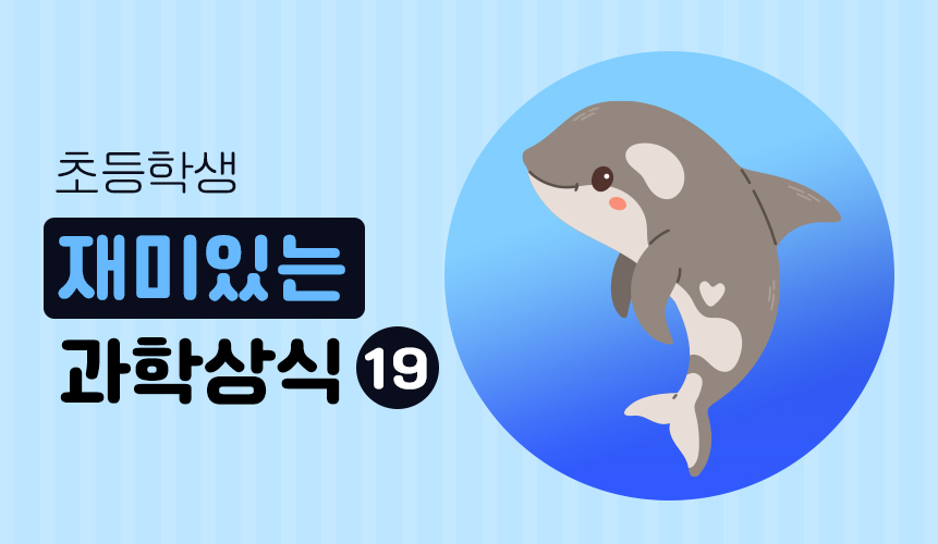 재미있는 과학상식 | 돌고래도 이름이 있다? | 아이스크림 홈런