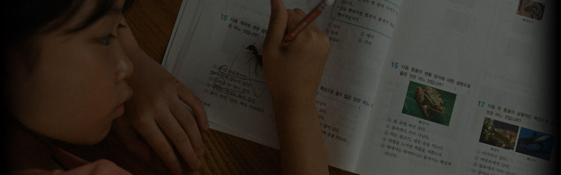공부를 좋아하는 습관, 아이스크림홈런